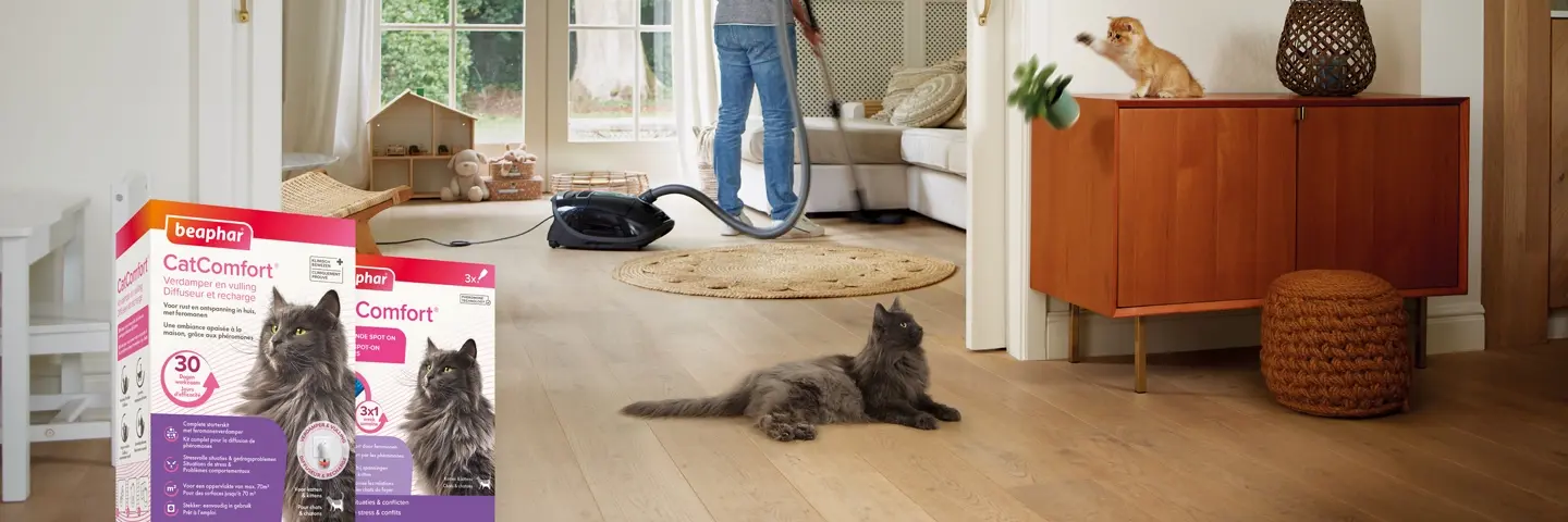 beaphar catcomfort voor stressvolle situaties gedragsproblemen katten